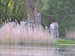 Competities HSV Alfheim